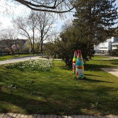 Blick in den Kurpark der Stadt Bad Vilbel